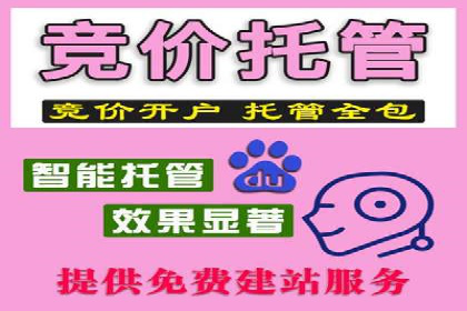 SEM优化师成功案例：助力企业实现品牌升级